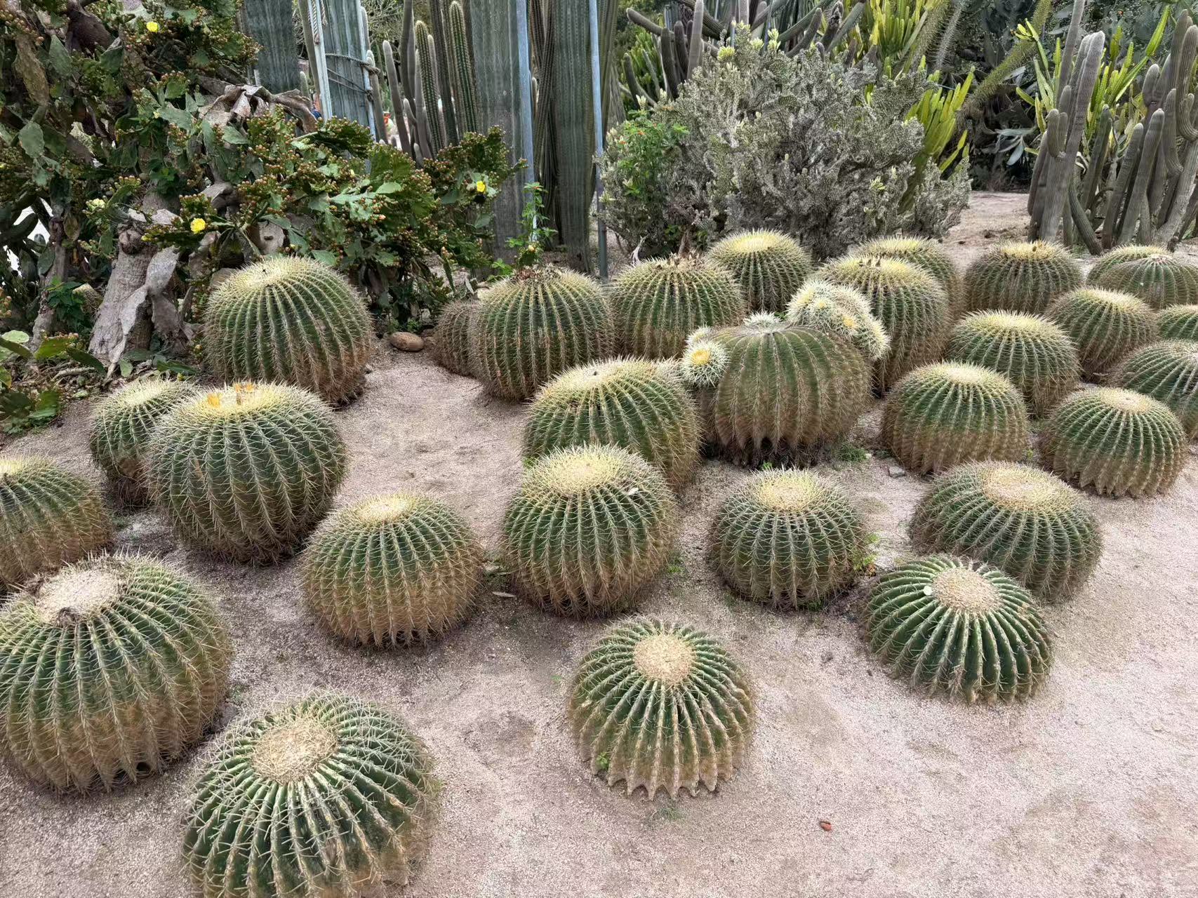 微信图片_202504291121361