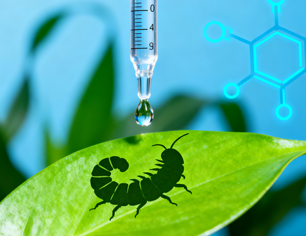 Attractants & Adjuvants