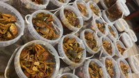 //iororwxhjnikll5q.leadongcdn.com/cloud/pjBmmKmqlpSRqlnlkkqpir/food-grade-plastic-buckets-for-seafood-packaging-umetass.jpg